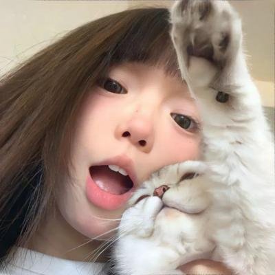 特殊嫌疑犯